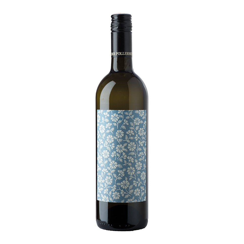 Frau Mayer Grüner Veltliner フラウ・マイヤー グリューナー・フェルトリーナー 2023